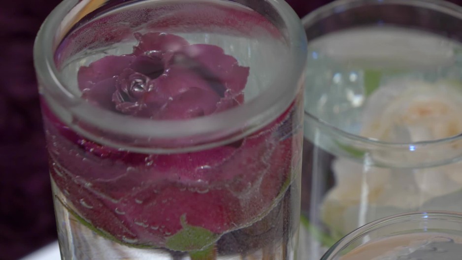 single roses submerged in water in single vases ClipStock