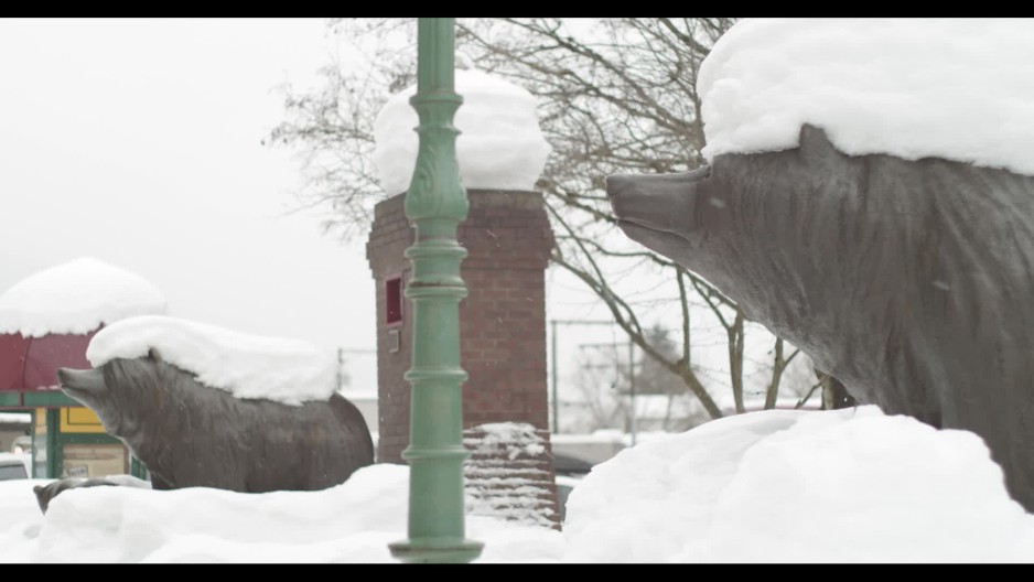 Snow covered bear statues in the town of Revelstoke British Columbia