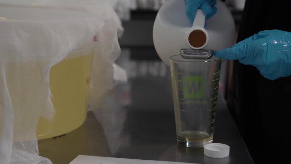 scientist using measuring tool to pouring liquid into measuring cup