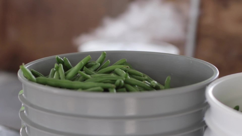 image bucket of green beans