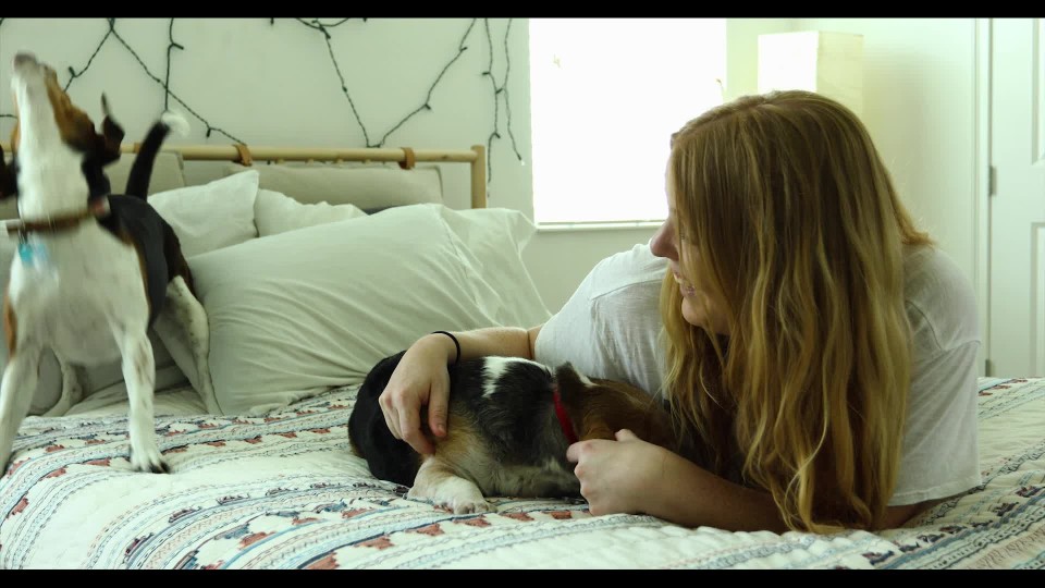Sad Woman Petting Dog While Laying On Bed Clipstock Sad Woman Petting Dog While Laying On Bed Clipstock