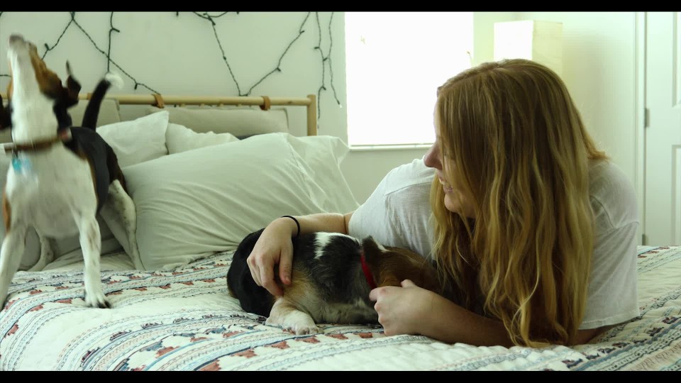 Sad Woman Petting Dog While Laying On Bed Clipstock